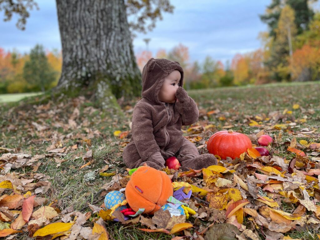 HarvestFest 2025 in Kennebunk